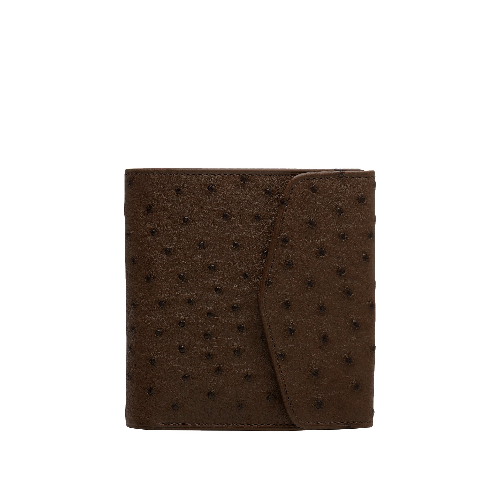 Tehuti GDLD Rainbow super compact wallet in Tabaco Kangoo ostrich leather with 6 credit card slots, 3 pockets and 1 change purse with closure on the back.